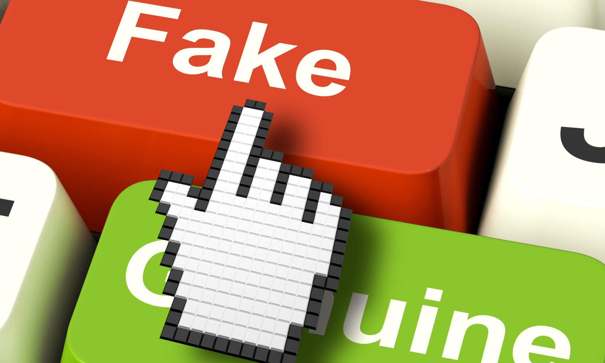 The cost of Fake Online Traffic 1